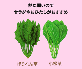 2502-green-vegetables-01.png